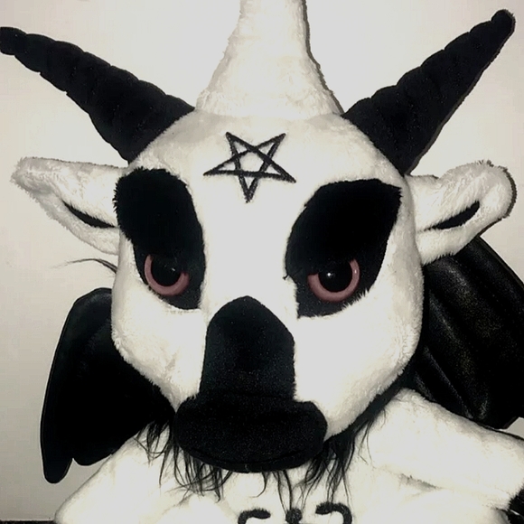 Meet your Posher, Venus - Picture 2 of 16